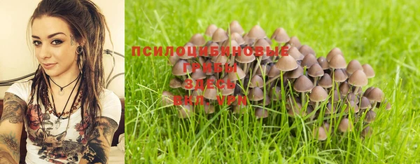 марки lsd Белокуриха